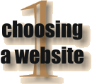 Choosing a website